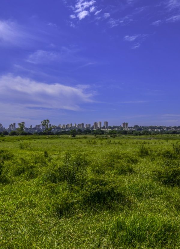 DESCUBRA <br><b>SÃO JOSÉ DOS CAMPOS</b>